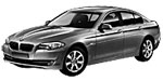 BMW F10 P102E Fault Code